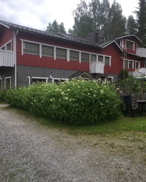 Punamullattu rakennus ja kukkiva piha Kermankeitaassa